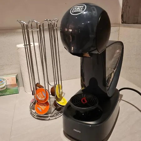 Artist House With Piano And Charming Garden